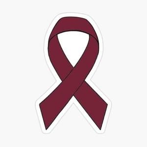 Meet your Posher, Kourtlyn